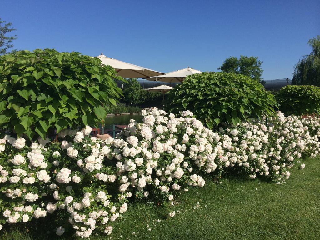 Corte All'olmo Vakantieboerderij Verona