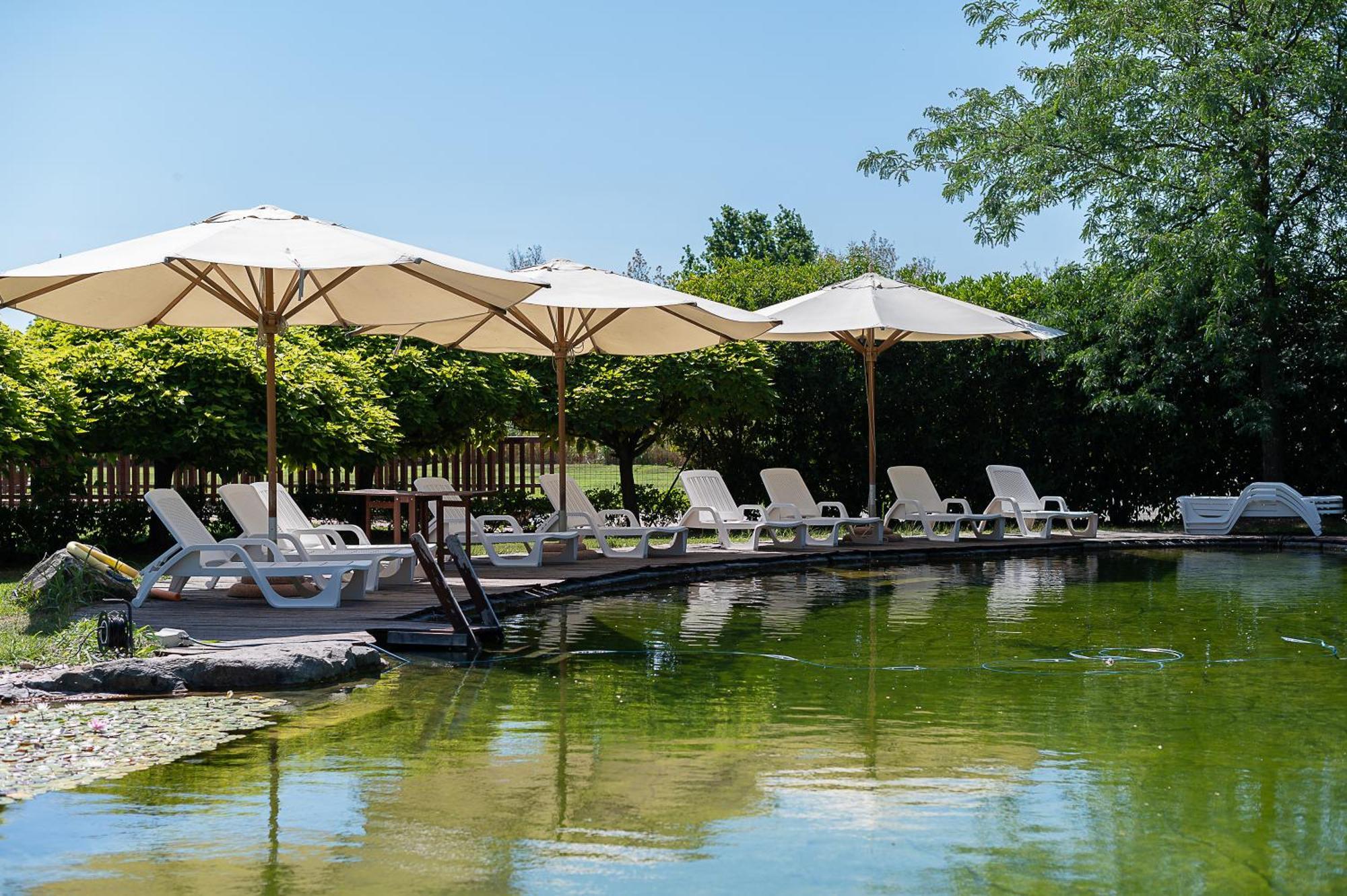 Vakantieboerderij Corte All'olmo *