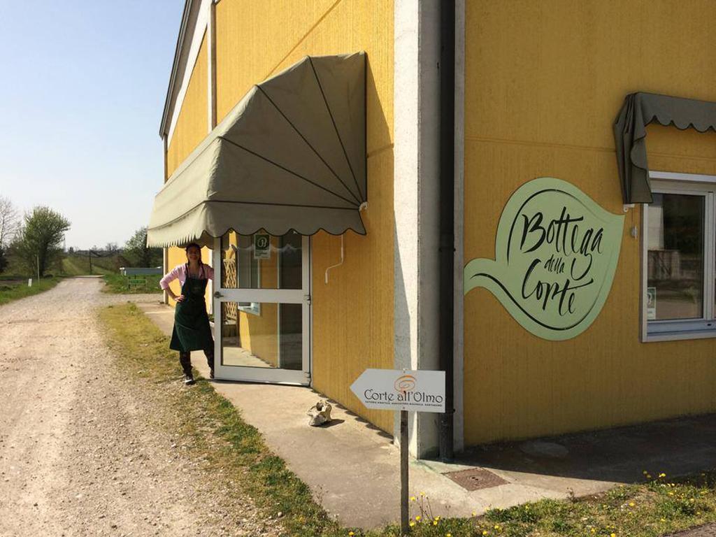 Vakantieboerderij Corte All'olmo